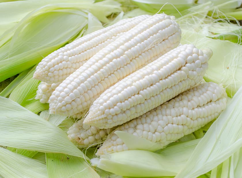 White Maize