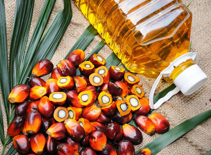 Palm Oil
